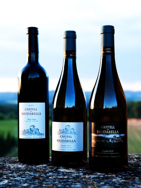 Castell De Riudabella * Vimbodi I Poblet