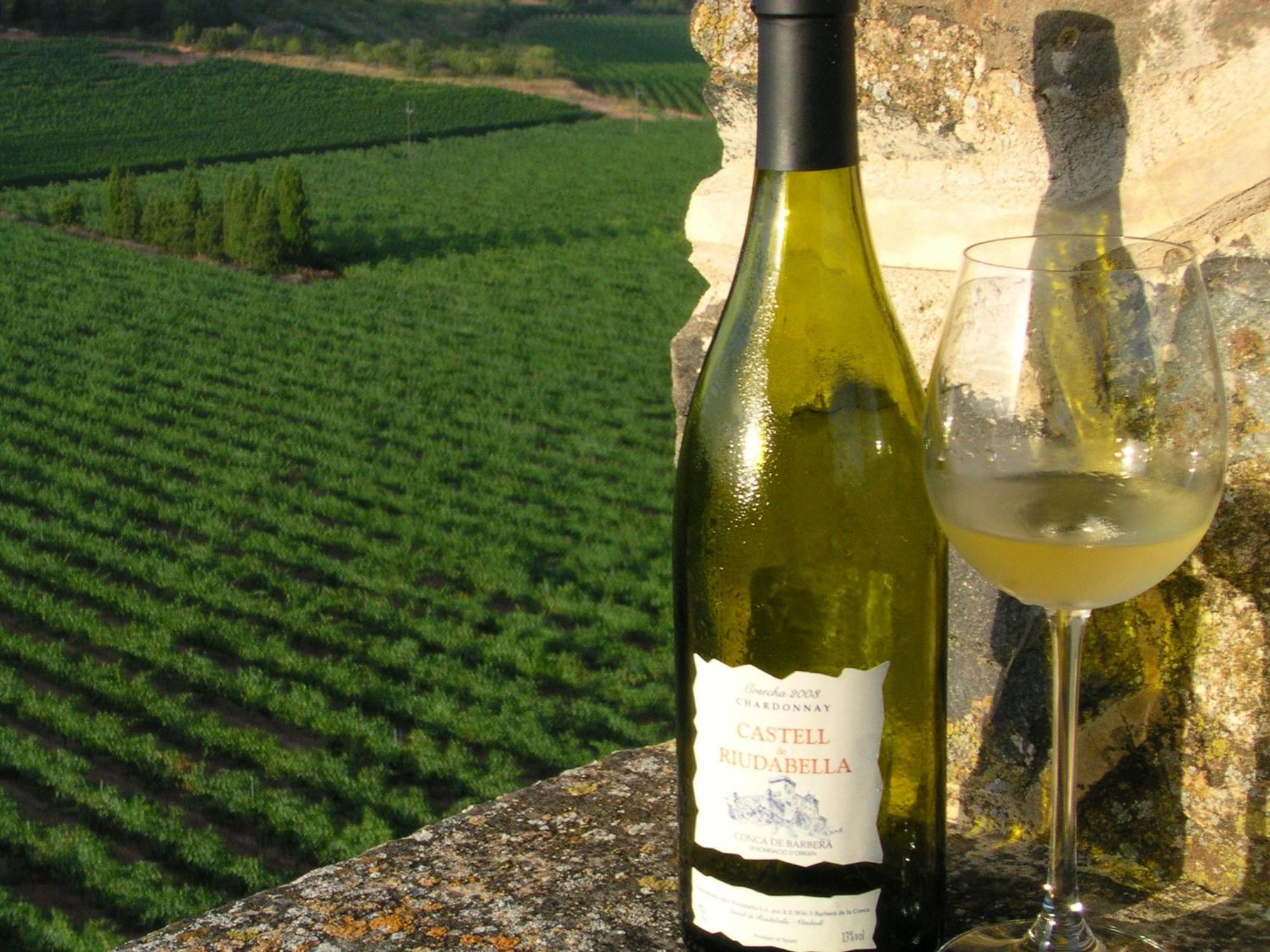Castell De Riudabella Appartement Vimbodi I Poblet