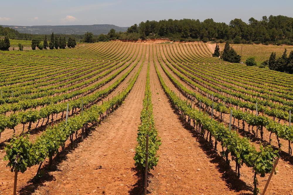 Castell De Riudabella Appartement Vimbodi I Poblet