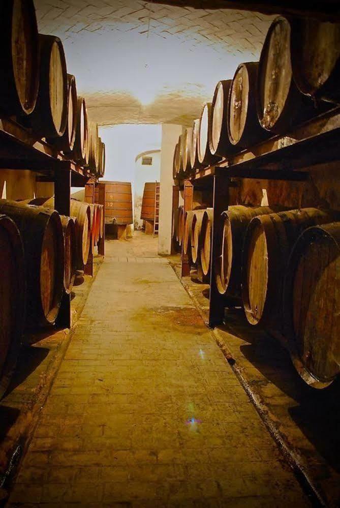 Apartamento Castell De Riudabella Vimbodi I Poblet